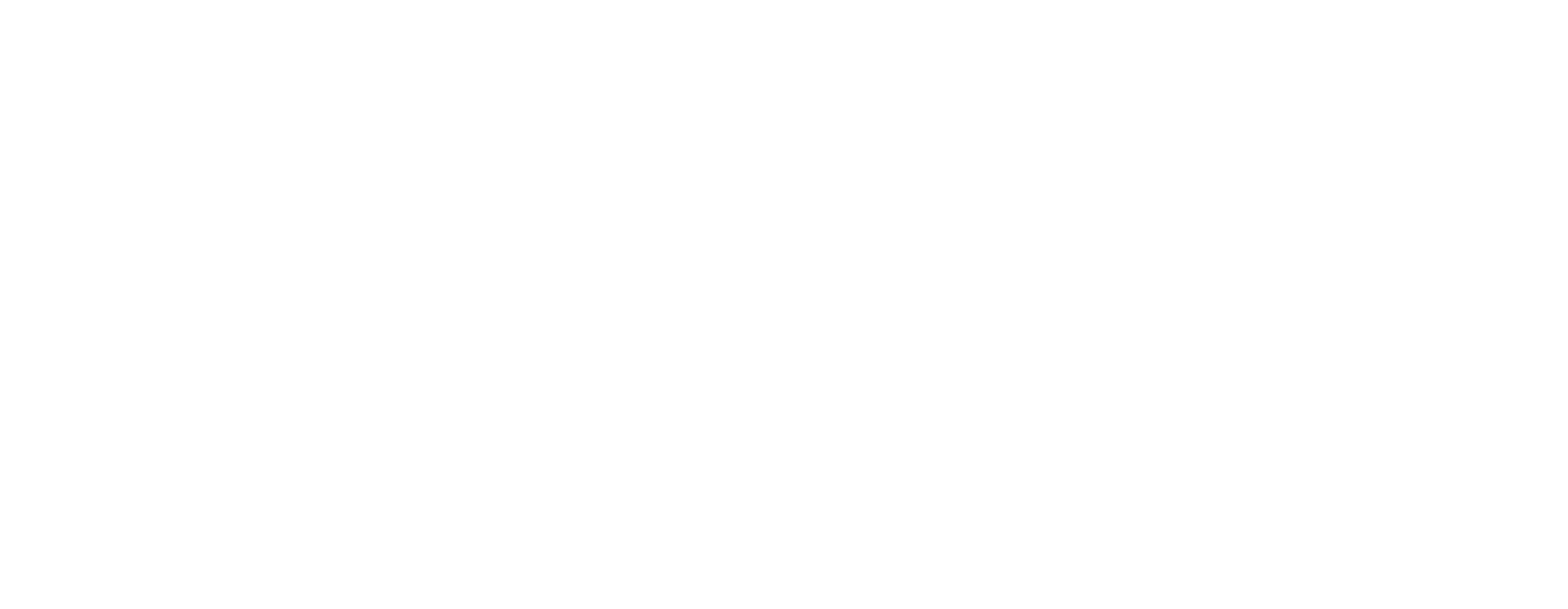 Mobilservis Plus